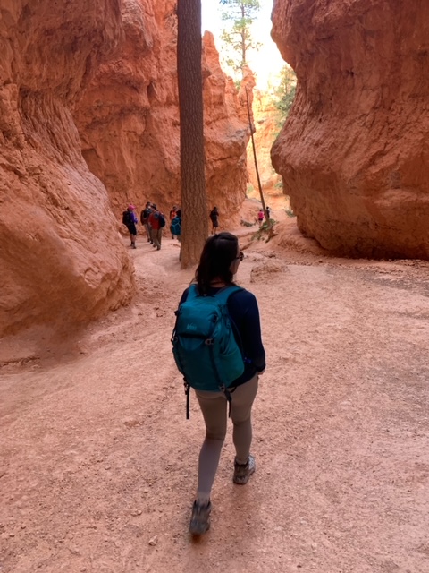 Sept 2019 Bryce National Park - Utah, Hiking tour with REI Adventures